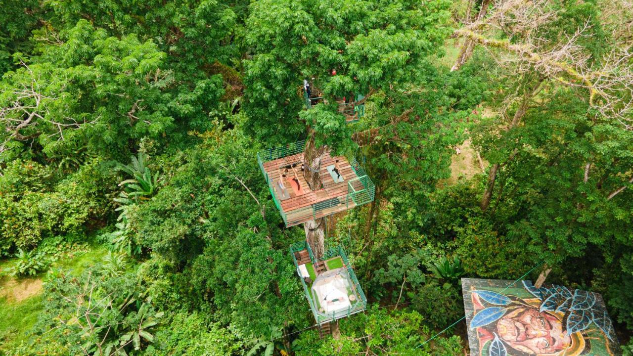 Hotel Boutique The Green Jungle House Puerto Viejo de Talamanca Exterior foto